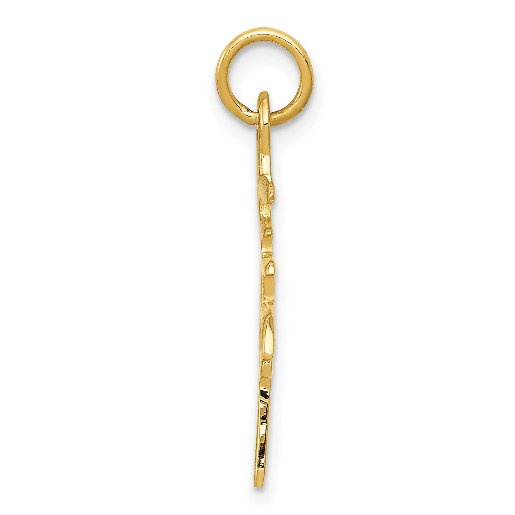 14k Yellow Gold Polished Chinese Long Life Charm