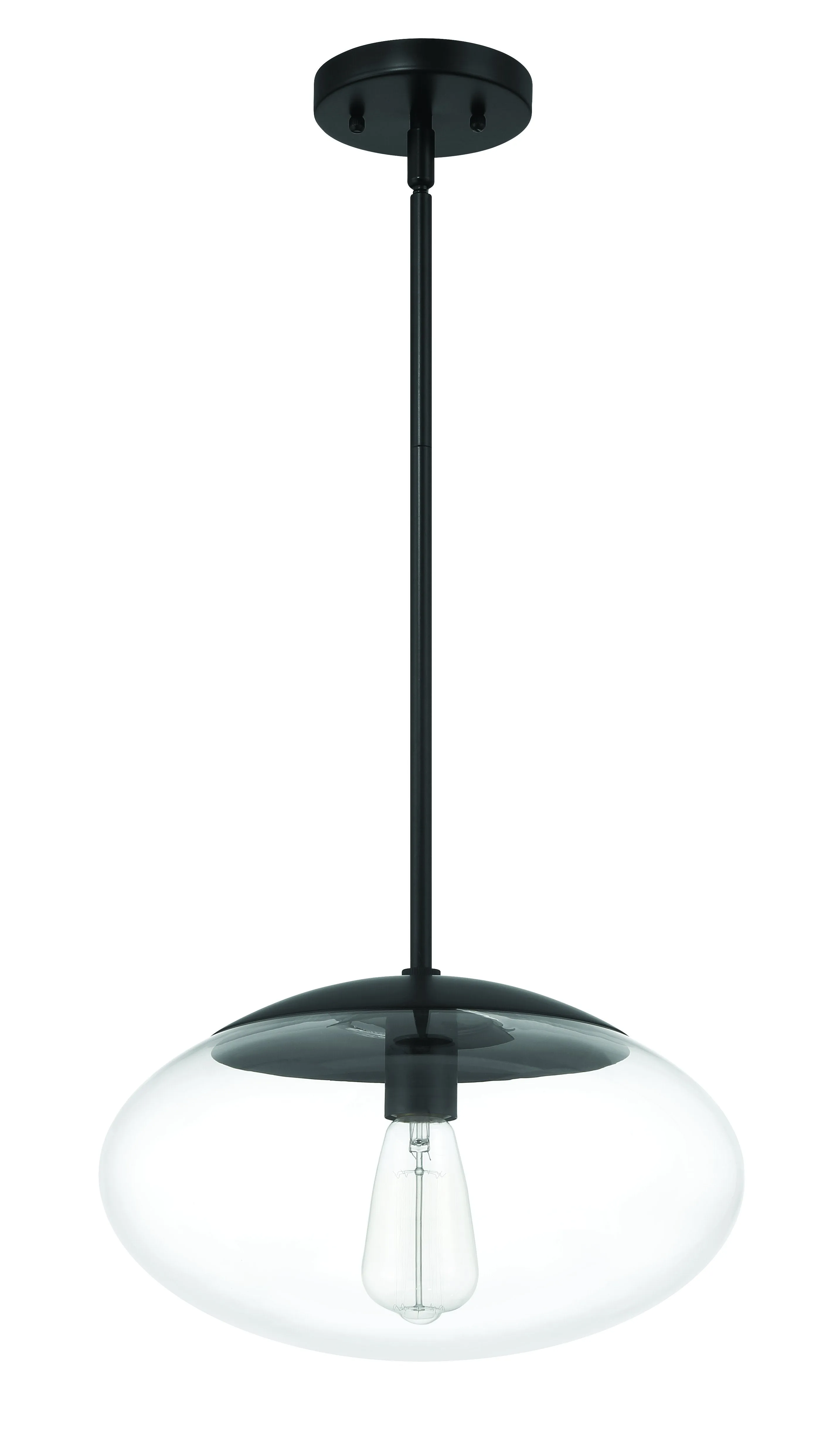 Gaze 14" 1 Light Oval Pendant in Flat Black