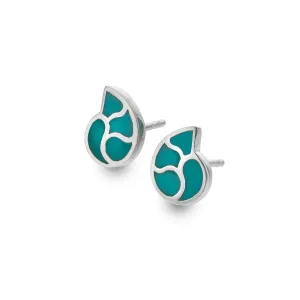 Turquoise Nautilus Studs