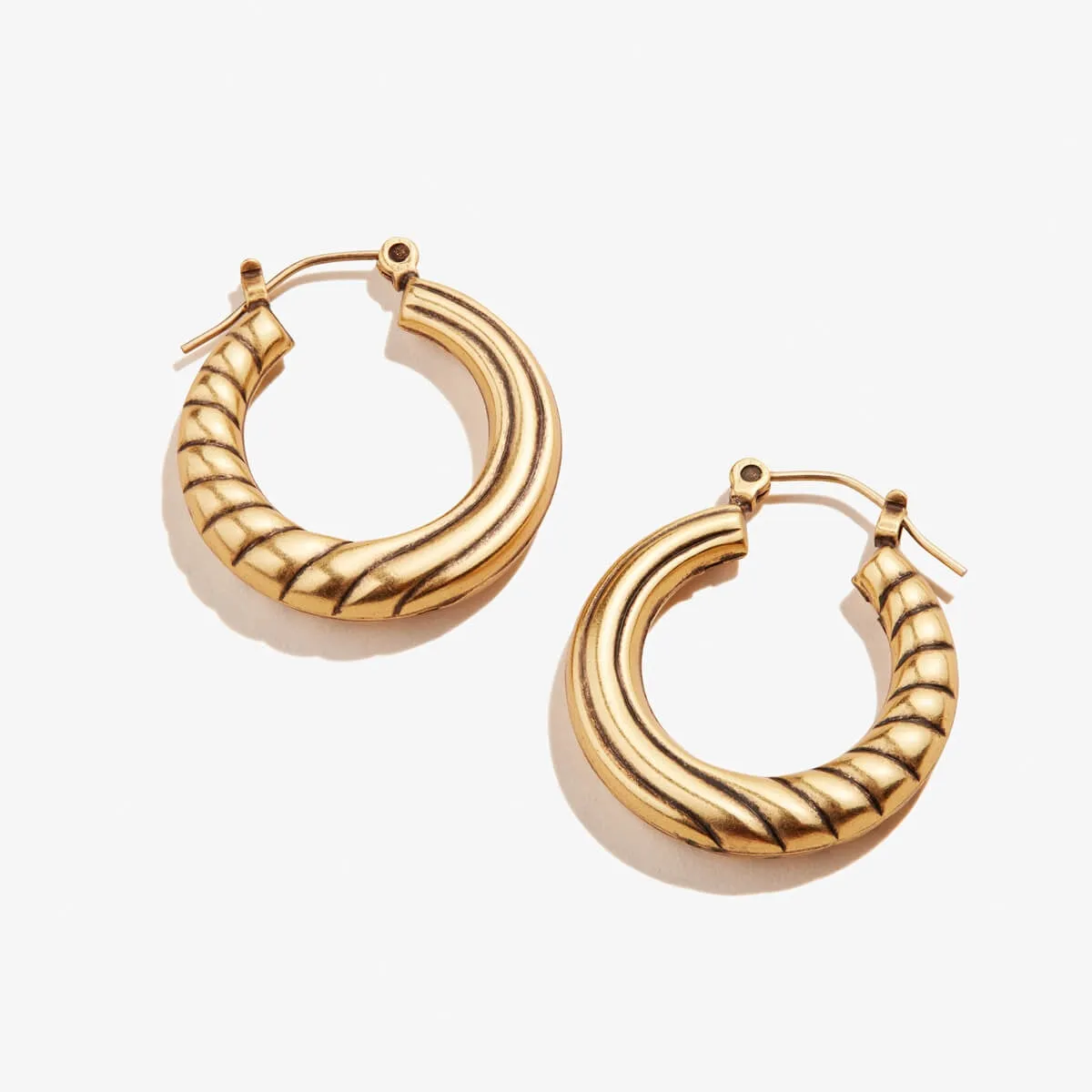 Twisted Hoop Earrings